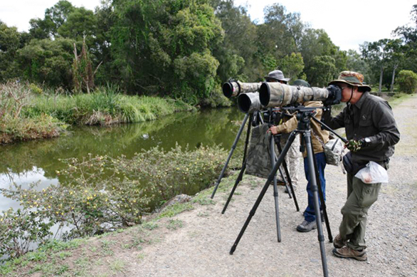 informative-bird-walks